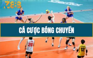 Huong Dan Ca Cuoc Bong Chuyen Tai AZ888 Chi Tiet Danh Cho Tan Thu 1 1 2 1 1