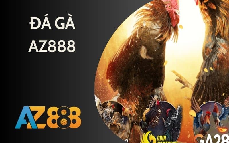 Đá gà AZ888 cung cấp các trận đá gà gây cấn